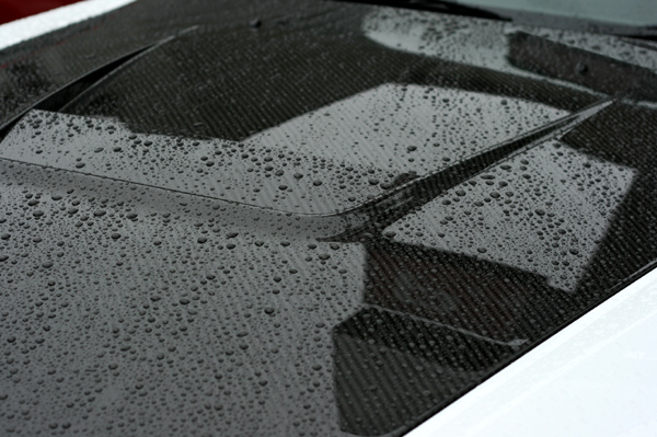 525 hood2 IMG_8743.jpg